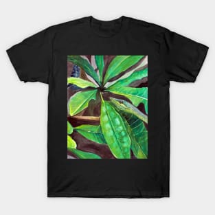 Vine snake T-Shirt